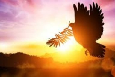 mensagenscomamor.com Hope