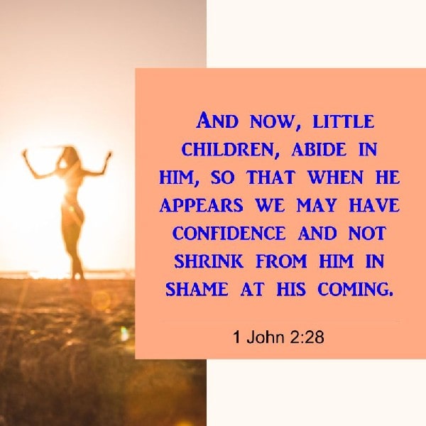 1 John 2:28