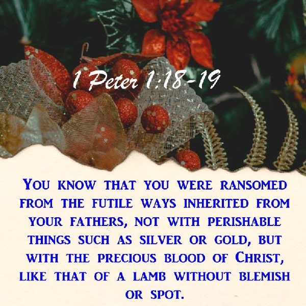 1 Peter 1:18-19