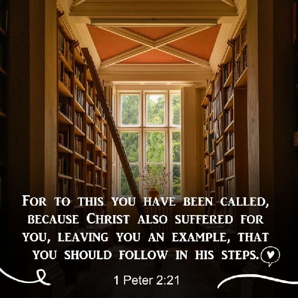 1 Peter 2:21