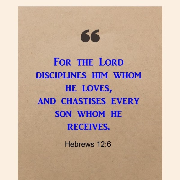 Hebrews 12:6