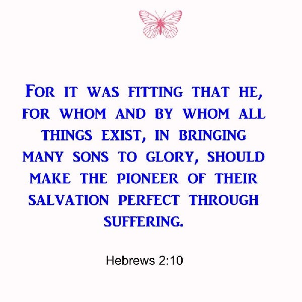 Hebrews 2:10