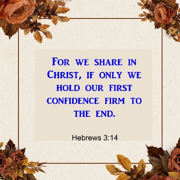 Hebrews 3:14