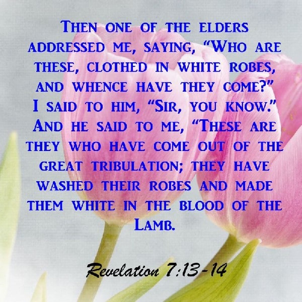 Revelation 7:13-15
