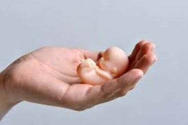 brasilescola.uol.com.br Abortion