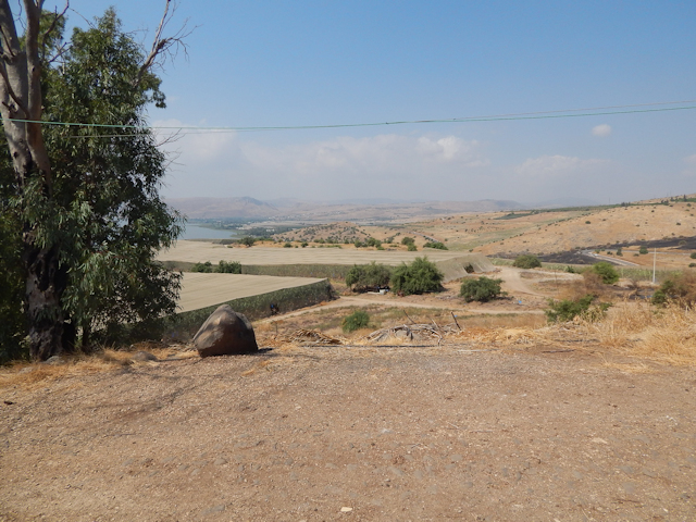 Jesus was led into the desert